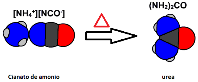 Wohler sintetiza la urea a partir de compuestos inorgánico
