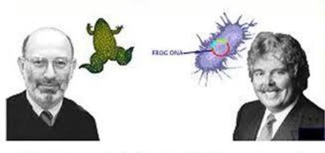 Se genera el primer organismo transgénico (una bacteria).