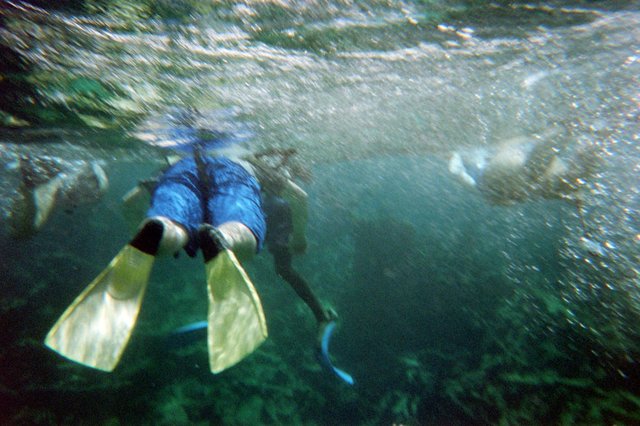 Day 1 - Snorkeling on Buck Island