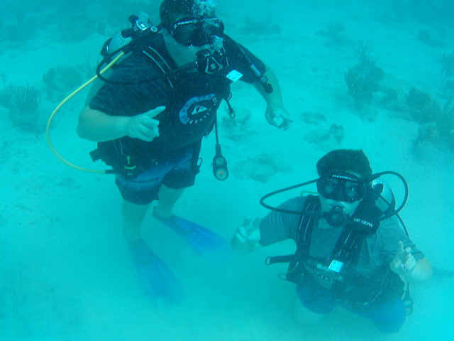 Day 4 - Scuba Diving