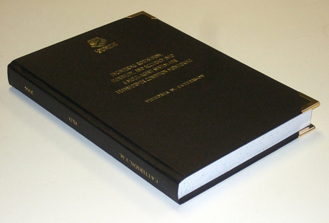 Alfonso Mejía Fernández (de la UNAM)