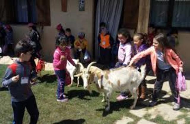 IMMANUEL KANT: Ciertos aprendizaje debe ser dejados a la lógica de la naturaleza.