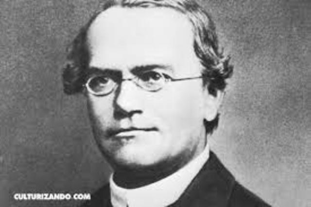 Gregor Mendel 1865, padre de la genética, plantea sus sueños sobre la herencia