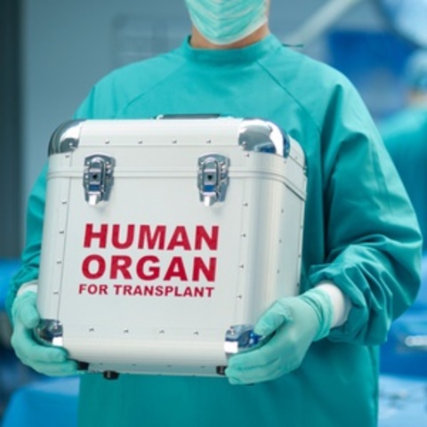 Organ Transplant