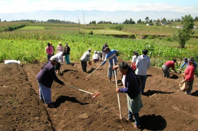 Aumento la población agrícola