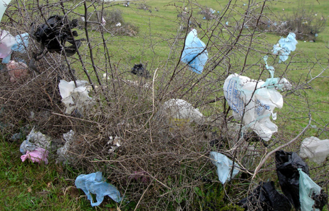 Changing to non Plastic bags