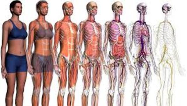 ANATOMÍA CLÍNICA O APLICADA