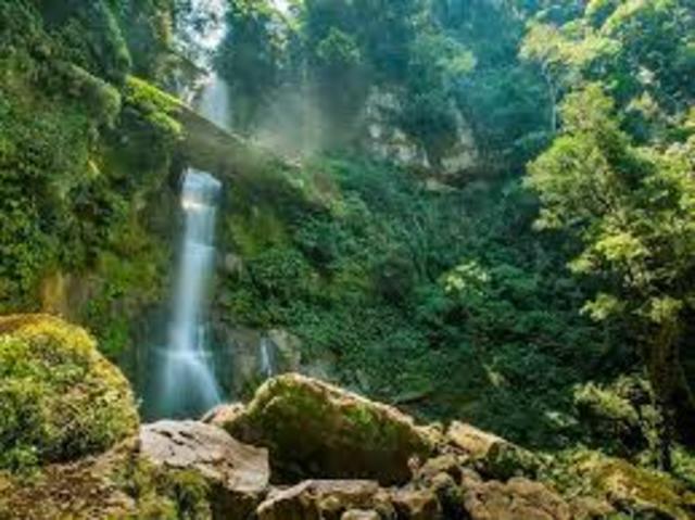 When it was founded?