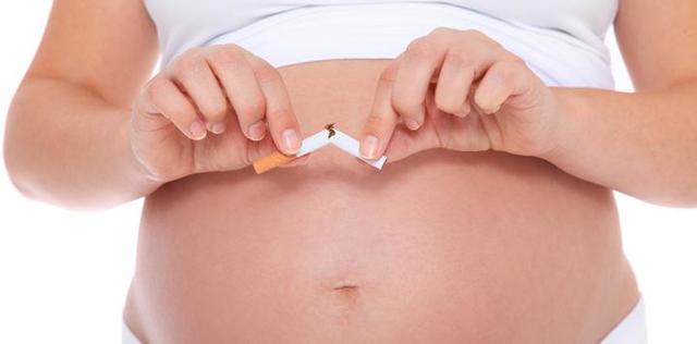 Factores ambientales