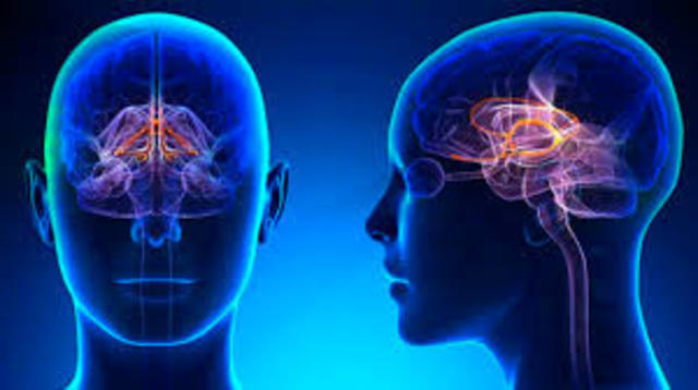 Instituto de Neurología