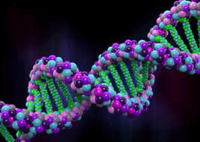 Estructura de doble hélice del ADN