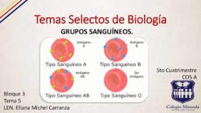 GRUPO SANGUINEO ABO
