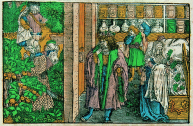 Investigacion empírica de la naturaleza.