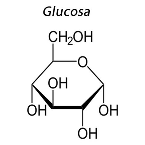 Glucosa
