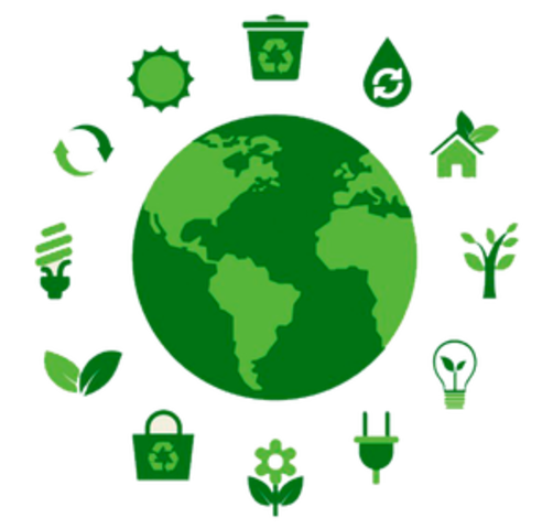 Nacimiento de la palabra ecologia