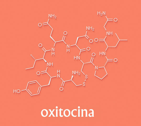 Oxitocina
