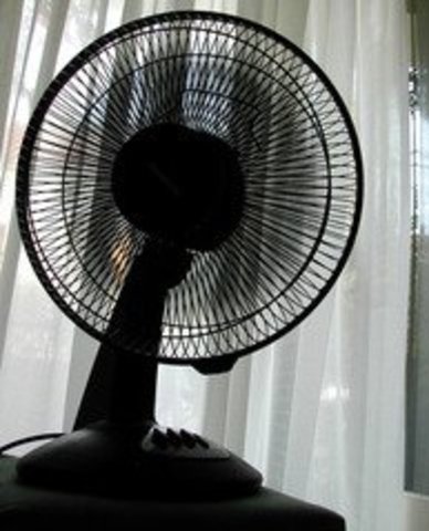 Electronic/Digital Technology