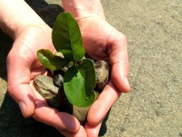 Preindustrial/Industrial Technology