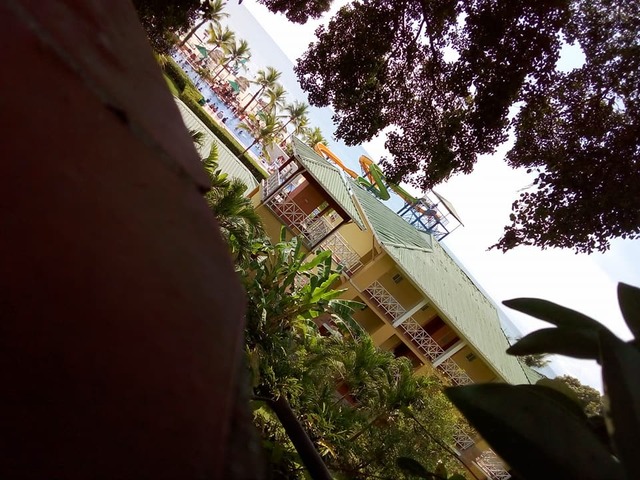 7.SALIDA  DEL PAÍS!!: