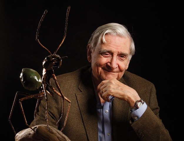 E. O. Wilson (1929)