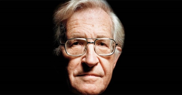 Noam Chomsky - Theory of language development