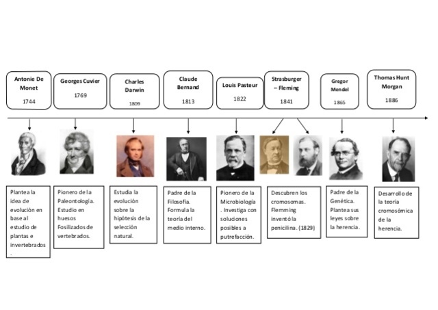 Antecedentes históricos de la Biología