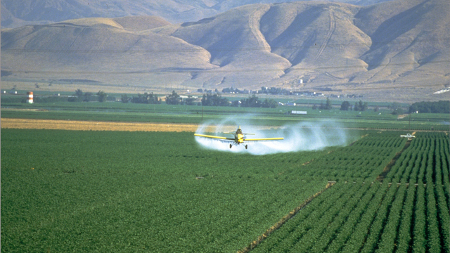 Green Revolution - intensive technological agriculture