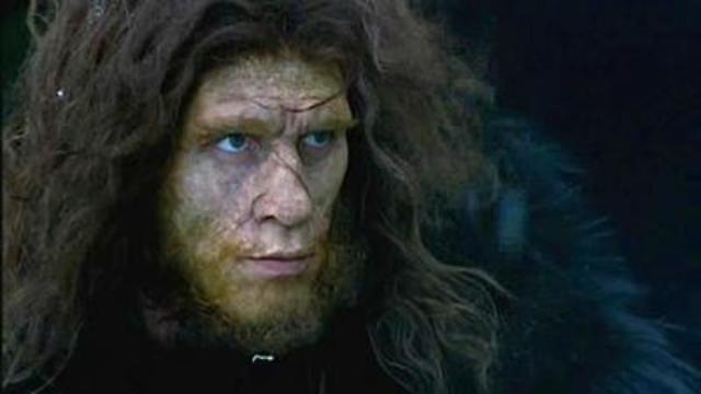 Homo Neanderthalensis