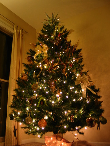 O Chrismakkah Tree..Ooo Chrismakkah Tree