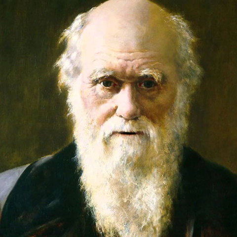 Darwin  siglo XIX
