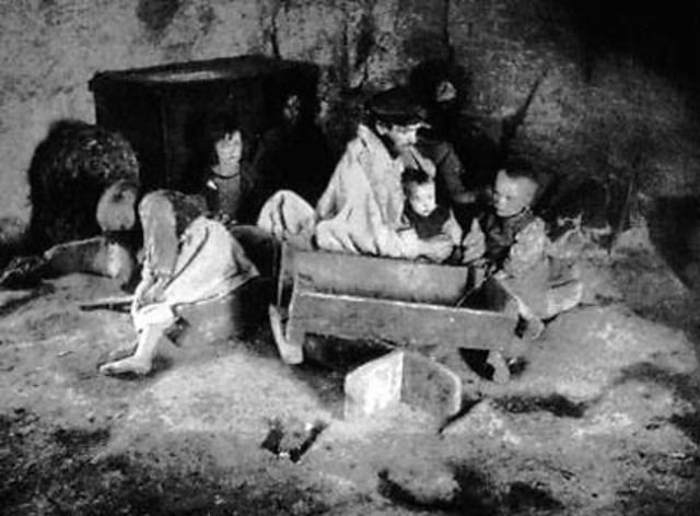 The Irish-Potato Famine
