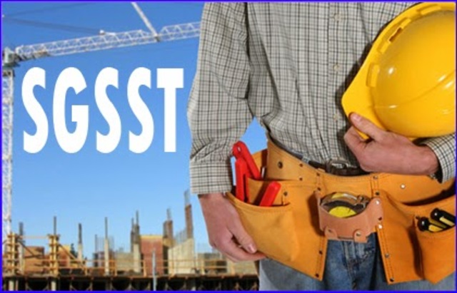 Decreto 1443 de 2014