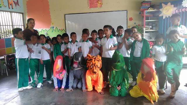 practicas pedagógicas profesionales.