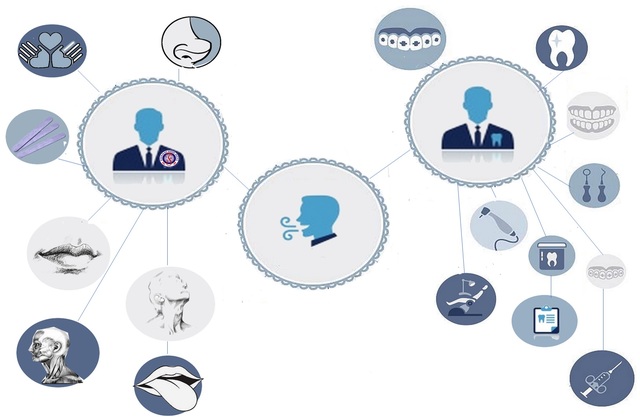 Ortodontia para Fonoaudiologia