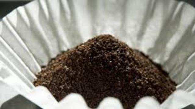 Coffee Filters