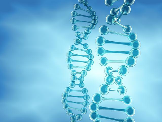 Descubre la estructura del Adn