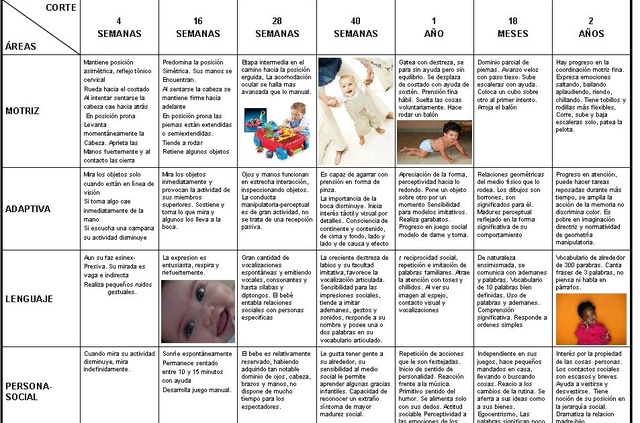 Escala de desarrollo de primeras edades
