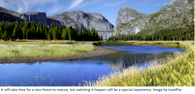 Potential Destruction of O'Shaughnessy Dam