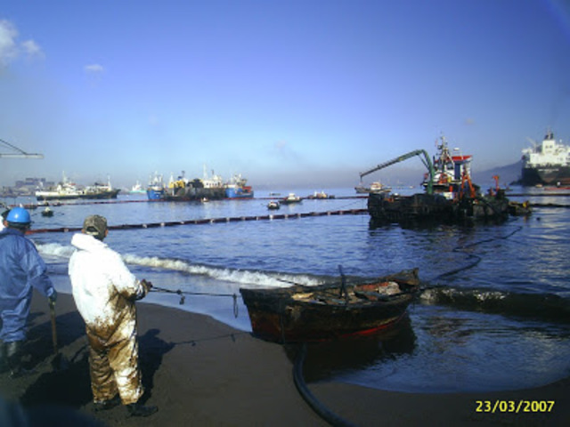 Marea negra en bahía San Vicente