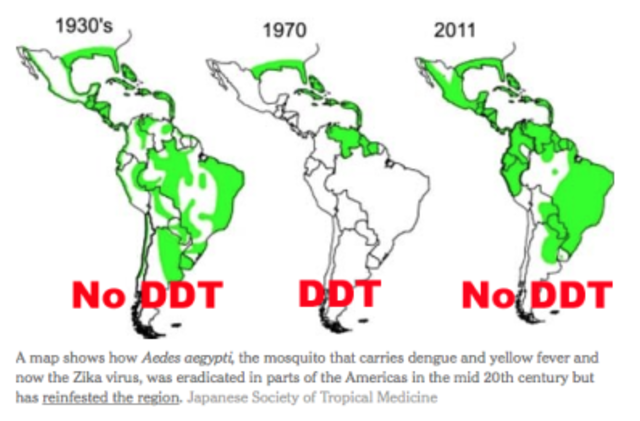 se autoriza la utilización del DDT
