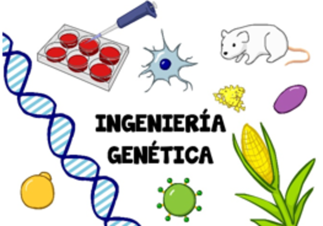 Ingeniería Genética