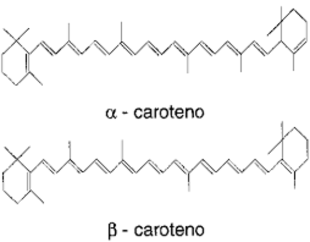 Estructura de los carotenoides