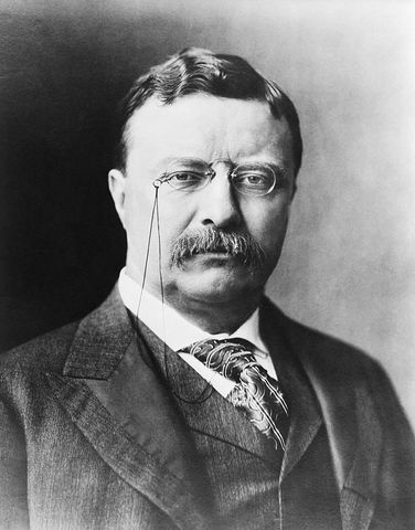 Theodore Roosevelt is elected to the Presidency