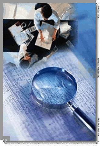 Importancia de la prognosis administrativa, Operational Auditing Book y  Management Services Book