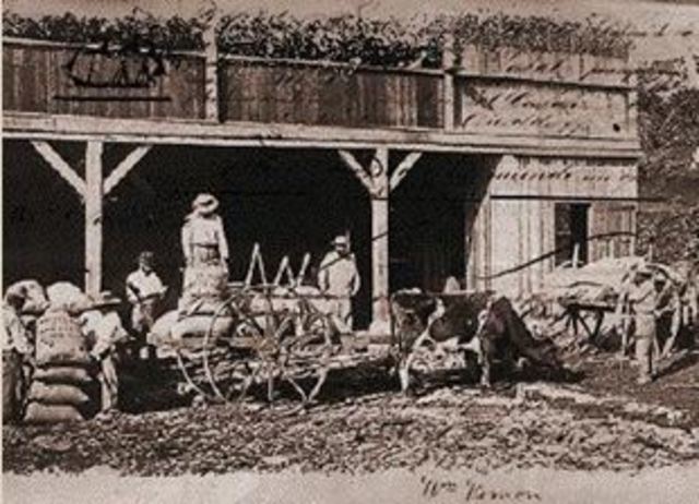 Desarrollo empresarial del café