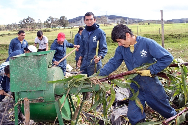 CENTROS DE FORMACIÓN