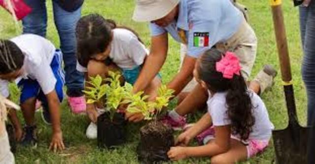 MARÍA MONTESSORI, Educar es promover la autoeducación.