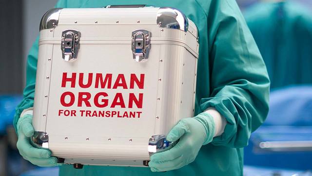 The First Successful Organ Transplant