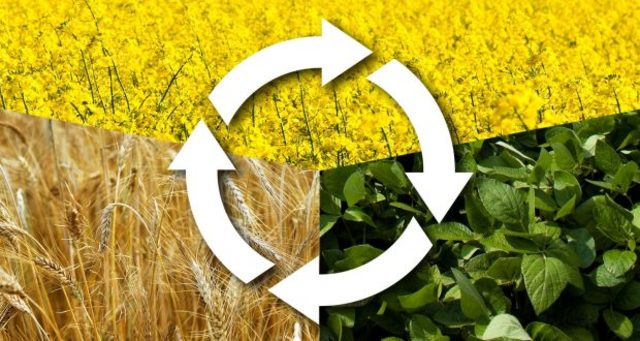 The invention of the 3-section Crop Rotation