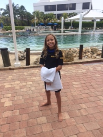 I went swimming with the dolphins